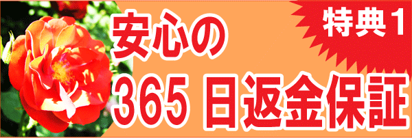 特典1、安心の365日返金保障