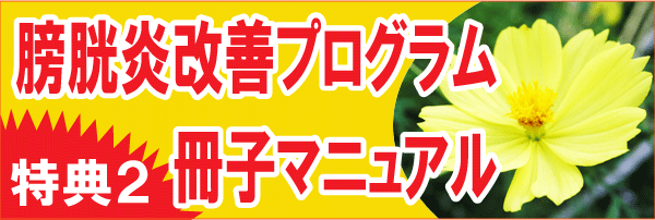 特典2、膀胱炎改善プログラム冊子マニュアル